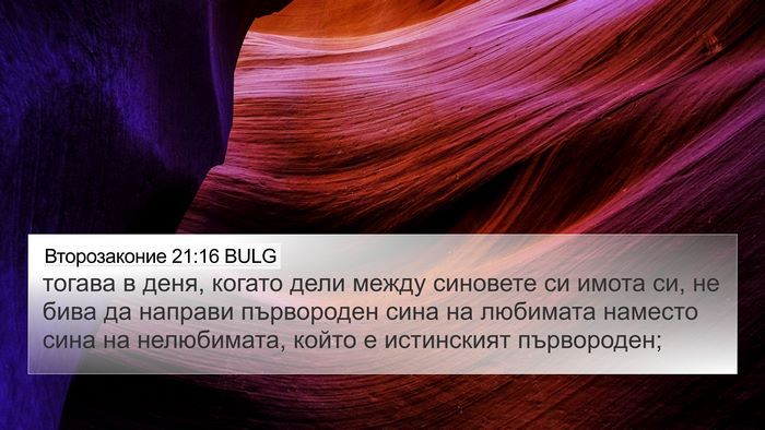 Второзаконие 21:16 BULG Bible Verse Image