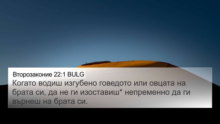 Второзаконие 22:1 BULG 4K Wallpaper - Когато водиш изгубено - 4K Wallpaper Bible Verse