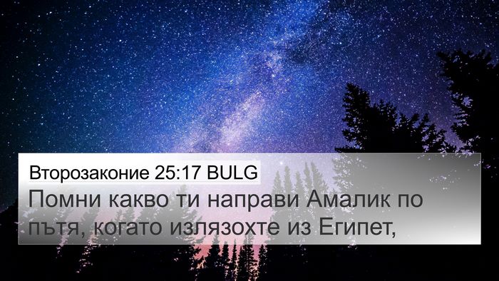 Второзаконие 25:17 BULG Bible Verse Image