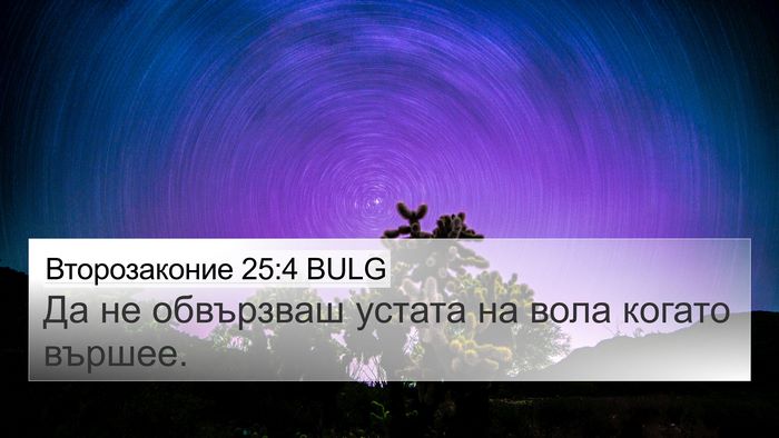 Второзаконие 25:4 BULG Bible Verse Image