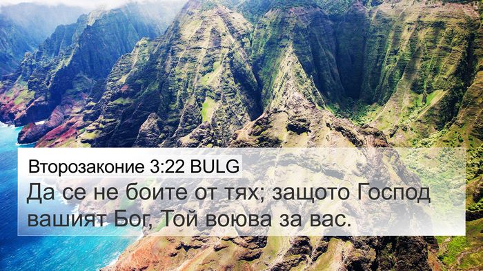 Второзаконие 3:22 BULG Bible Verse Image