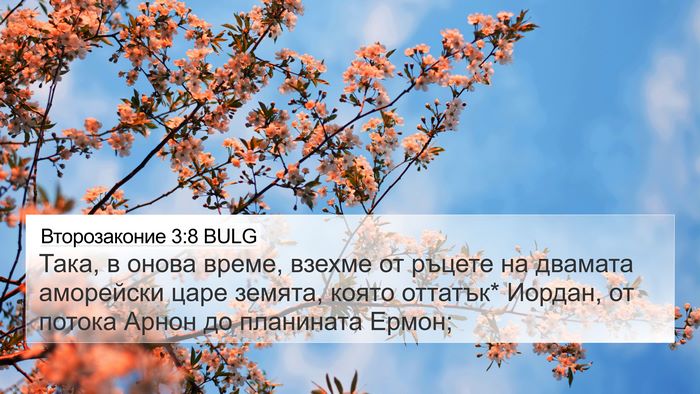 Второзаконие 3:8 BULG Bible Verse Image