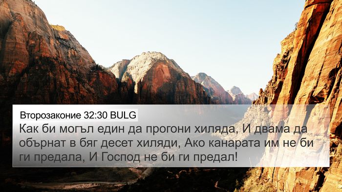 Второзаконие 32:30 BULG Bible Verse Image