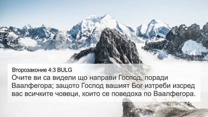 Второзаконие 4:3 BULG Bible Verse Image