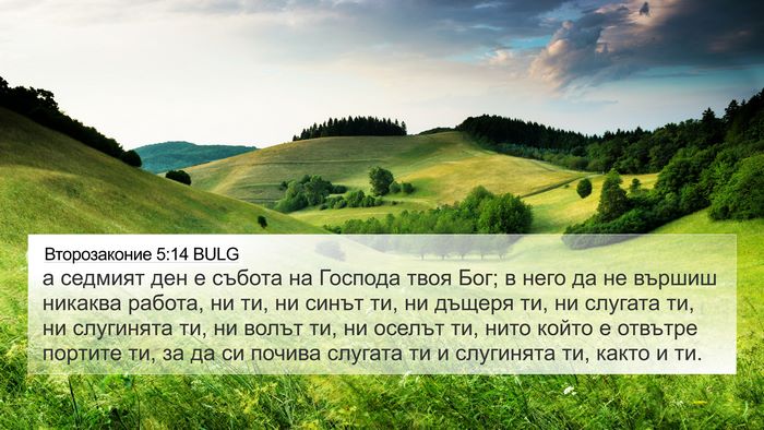 Второзаконие 5:14 BULG Bible Verse Image
