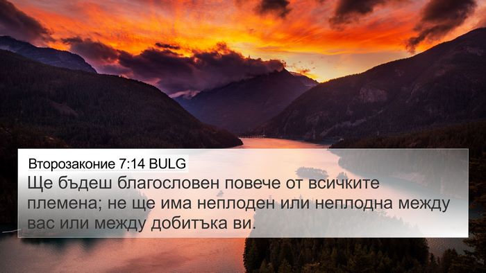 Второзаконие 7:14 BULG 4K Wallpaper - Ще бъдеш благословен - 4K Wallpaper Bible Verse