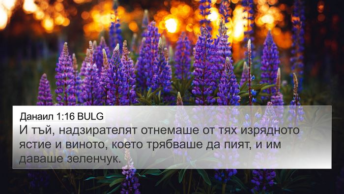 Данаил 1:16 BULG Bible Verse Image