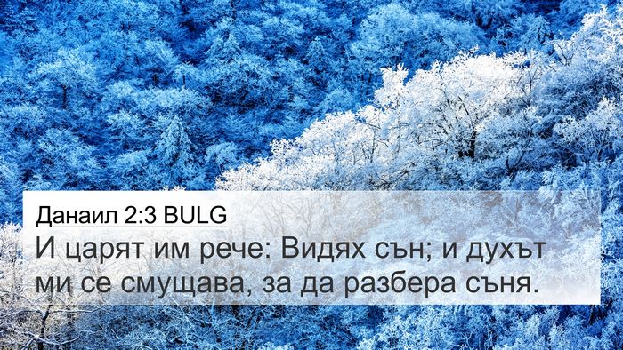 Данаил 2:3 BULG 4K Wallpaper - И царят им рече: Видях сън; - 4K Wallpaper Bible Verse