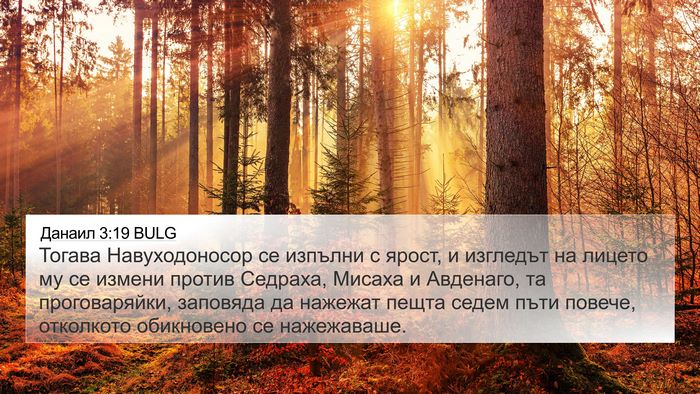 Данаил 3:19 BULG Bible Verse Image