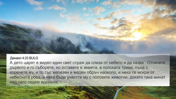 Данаил 4:23 BULG Bible Verse Image