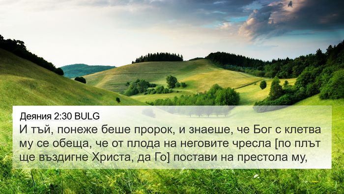 Деяния 2:30 BULG Bible Verse Image