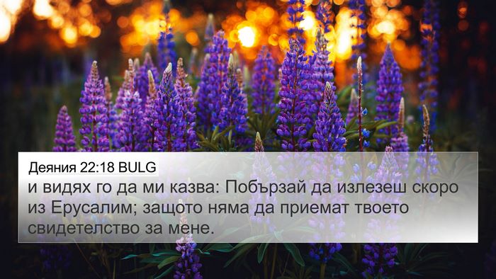 Деяния 22:18 BULG Bible Verse Image
