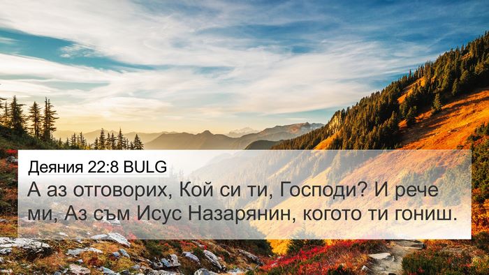 Деяния 22:8 BULG 4K Wallpaper - А аз отговорих, Кой си ти, - 4K Wallpaper Bible Verse
