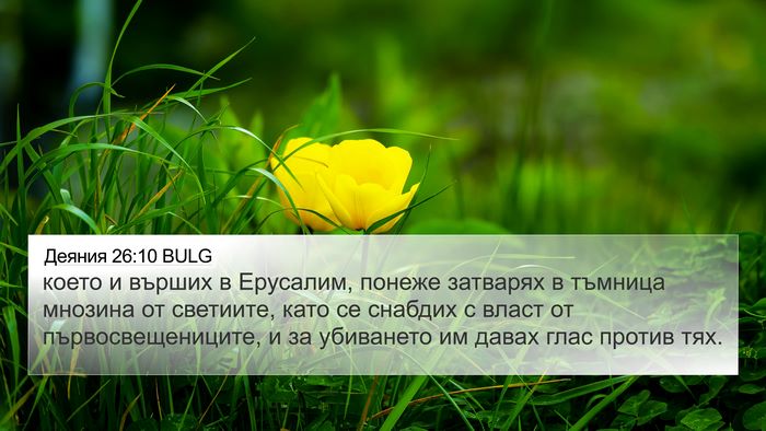 Деяния 26:10 BULG Bible Verse Image