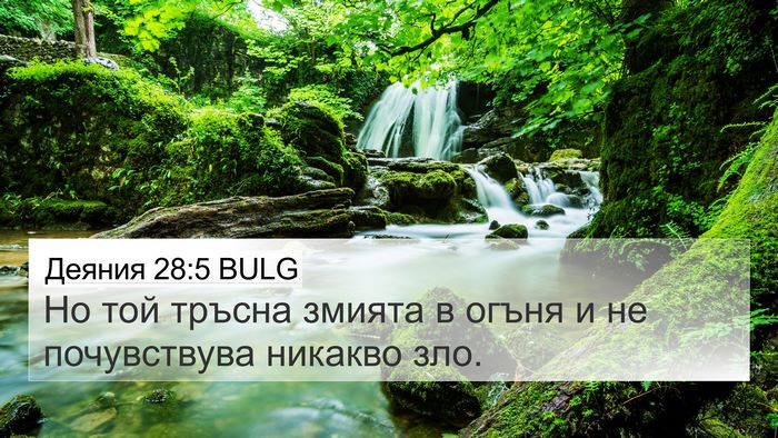 Деяния 28:5 BULG Bible Verse Image
