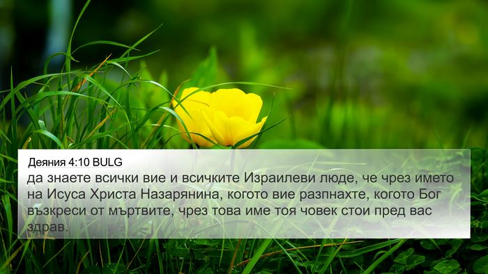Деяния 4:10 BULG Bible Verse Image
