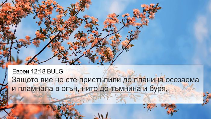 Евреи 12:18 BULG Bible Verse Image