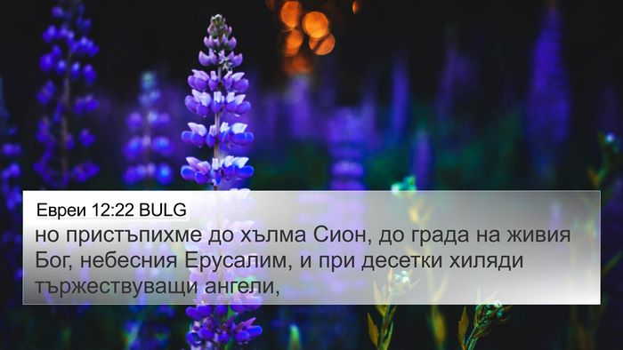 Евреи 12:22 BULG Bible Verse Image