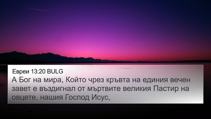 Евреи 13:20 BULG Bible Verse Image