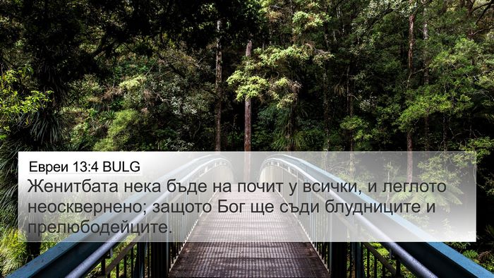 Евреи 13:4 BULG Bible Verse Image