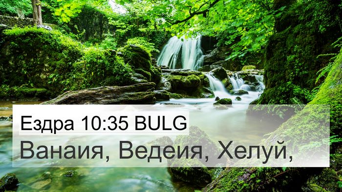 Ездра 10:35 BULG 4K Wallpaper - Ванаия, Ведеия, - 4K Wallpaper Bible Verse