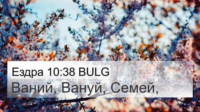 Ездра 10:38 BULG 4K Wallpaper - Ваний, Вануй, - 4K Wallpaper Bible Verse