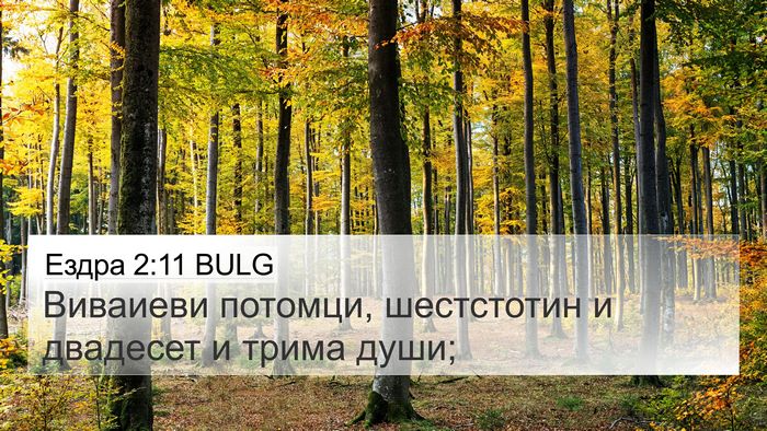 Ездра 2:11 BULG Bible Verse Image