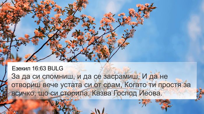 Езекил 16:63 BULG Bible Verse Image