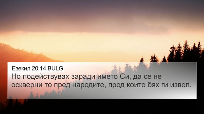 Езекил 20:14 BULG Bible Verse Image