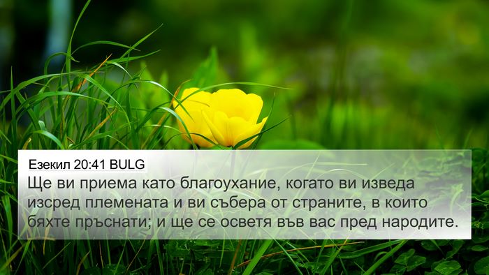 Езекил 20:41 BULG Bible Verse Image
