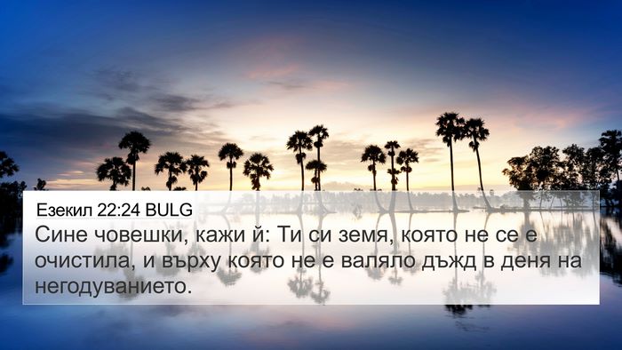 Езекил 22:24 BULG Bible Verse Image