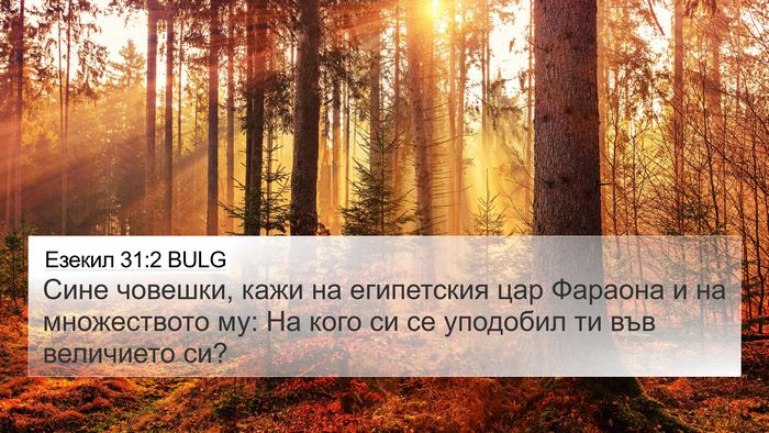Езекил 31:2 BULG Bible Verse Image