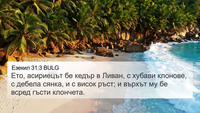 Езекил 31:3 BULG Bible Verse Image
