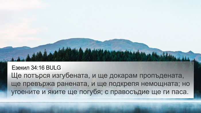 Езекил 34:16 BULG Bible Verse Image