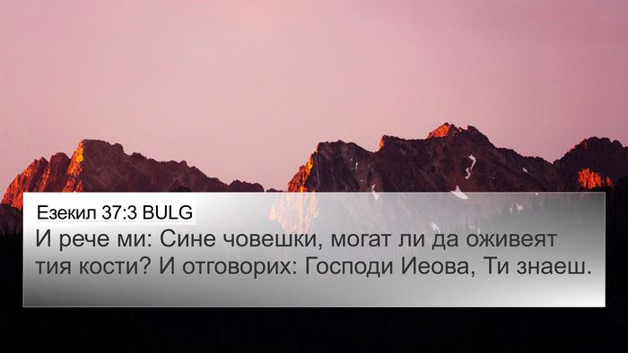 Езекил 37:3 BULG Bible Verse Image