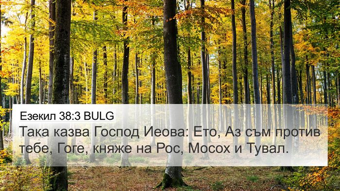 Езекил 38:3 BULG Bible Verse Image