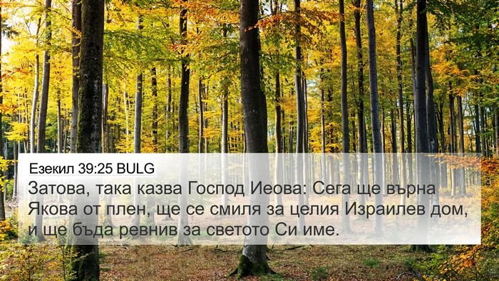 Езекил 39:25 BULG Bible Verse Image