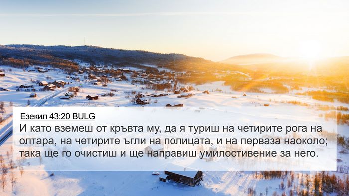 Езекил 43:20 BULG Bible Verse Image