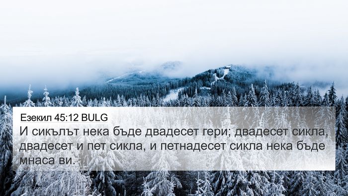 Езекил 45:12 BULG Bible Verse Image