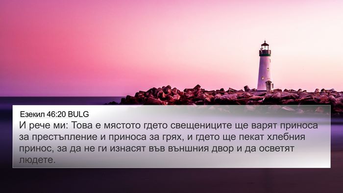 Езекил 46:20 BULG Bible Verse Image