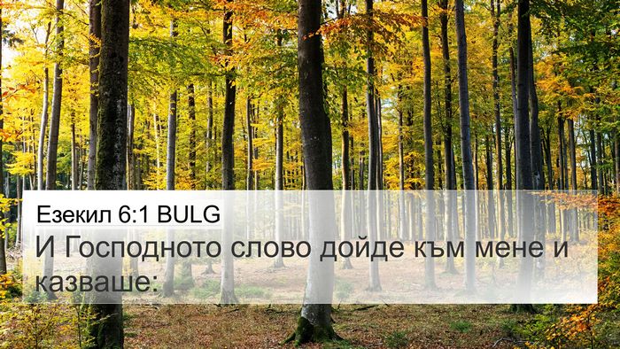 Езекил 6:1 BULG Bible Verse Image