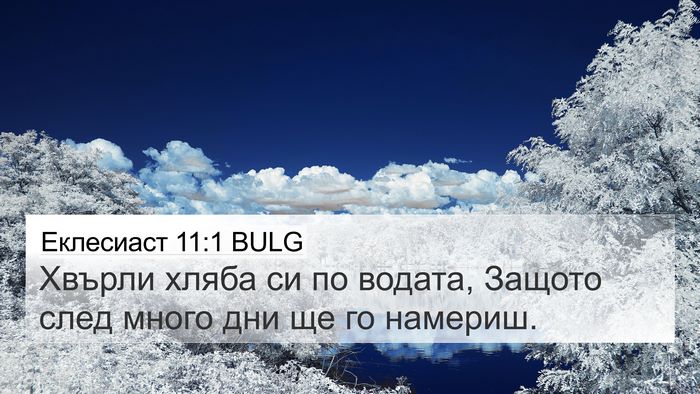 Еклесиаст 11:1 BULG Bible Verse Image