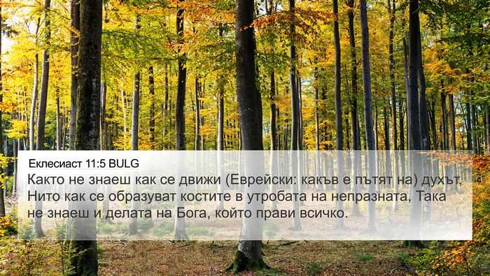 Еклесиаст 11:5 BULG Bible Verse Image