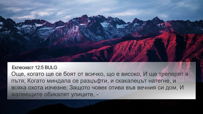Еклесиаст 12:5 BULG Bible Verse Image