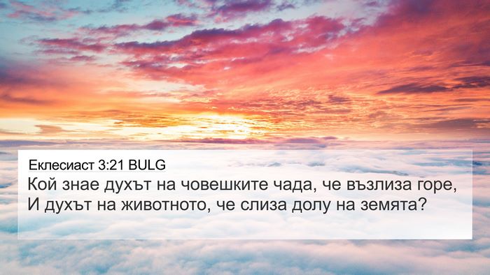 Еклесиаст 3:21 BULG Bible Verse Image