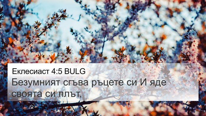 Еклесиаст 4:5 BULG 4K Wallpaper - Безумният сгъва ръцете си - 4K Wallpaper Bible Verse