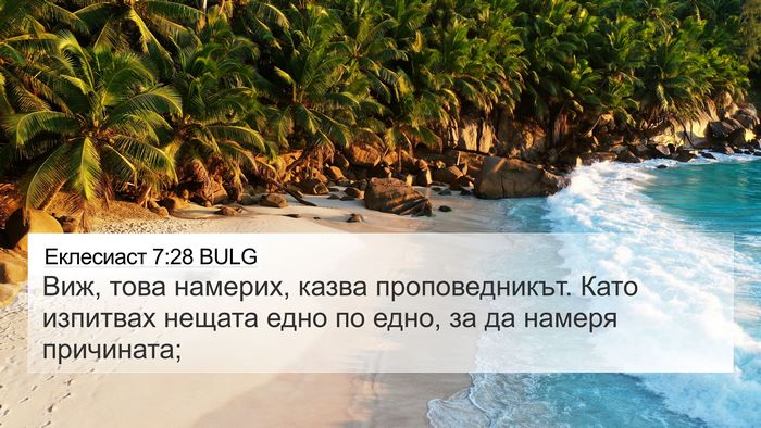 Еклесиаст 7:28 BULG Bible Verse Image