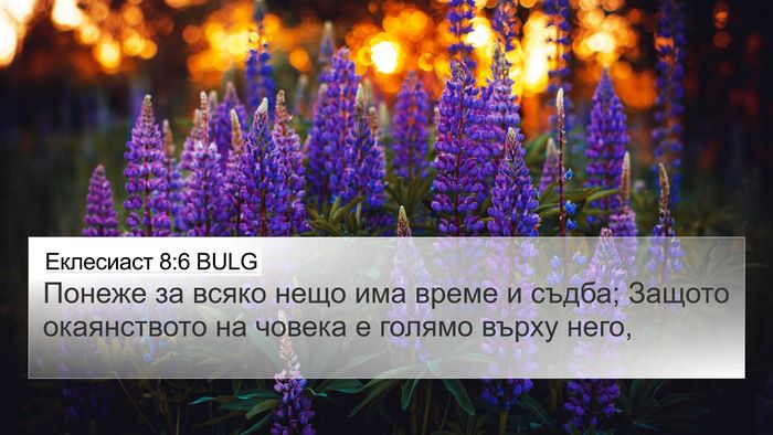 Еклесиаст 8:6 BULG 4K Wallpaper - Понеже за всяко нещо има - 4K Wallpaper Bible Verse