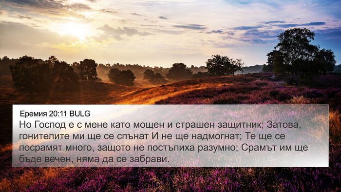 Еремия 20:11 BULG Bible Verse Image