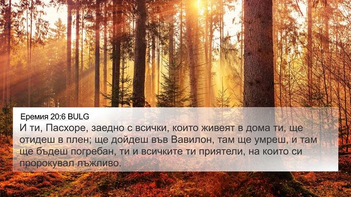 Еремия 20:6 BULG Bible Verse Image